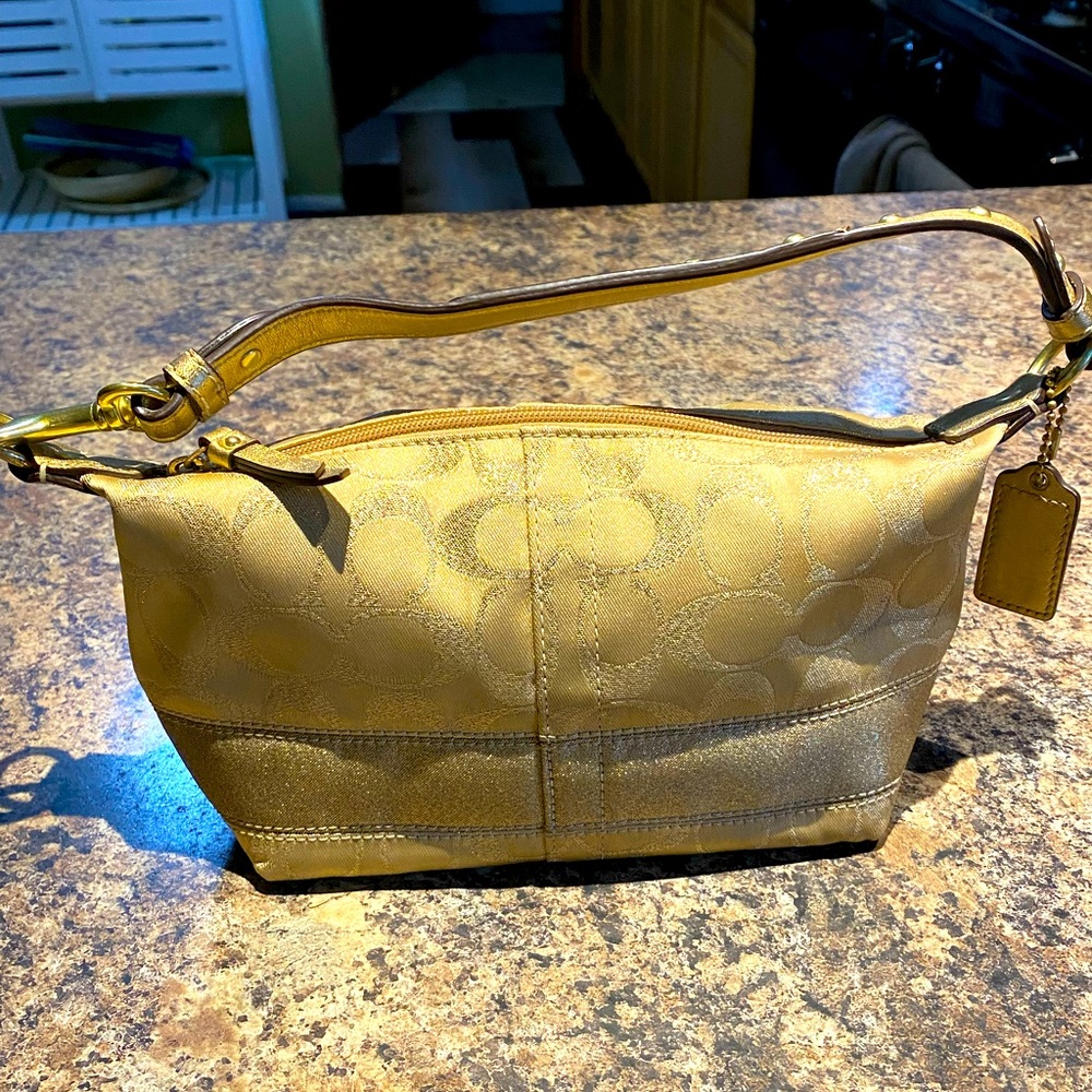 Coach handbag (clutch)